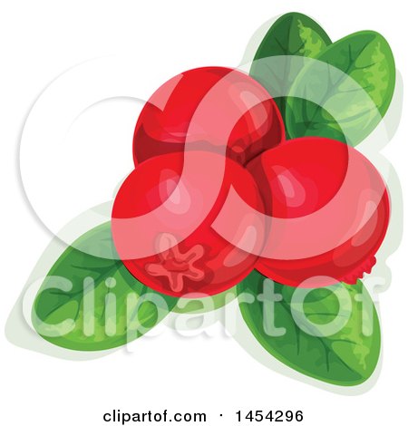 Clipart Graphic of Cowberries and Leaves - Royalty Free Vector Illustration by Vector Tradition SM
