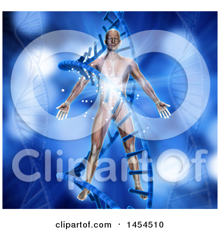Clipart Graphic of a 3d Medical Anatomical Male with Visible Muscles, over a DNA Strand Background - Royalty Free Illustration by KJ Pargeter