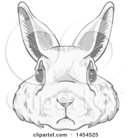 Clipart Graphic of a Grayscale Bunny Rabbit Face - Royalty Free Vector Illustration by Pushkin