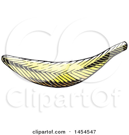 Clipart Graphic of a Sketched Banana - Royalty Free Vector Illustration by cidepix