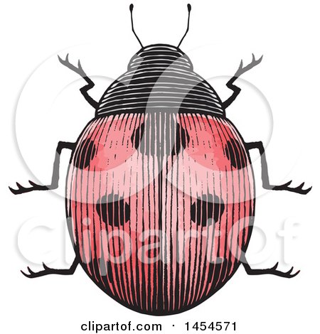 Clipart Graphic of a Sketched Ladybug - Royalty Free Vector Illustration by cidepix