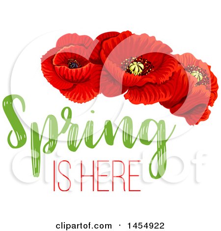 Clipart of a Red Poppy Flower Spring Time Season Design Element - Royalty Free Vector Illustration by Vector Tradition SM