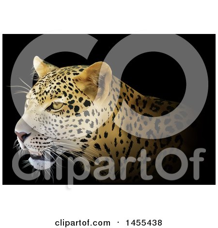 Clipart of a Leopard Face in Profile on Black - Royalty Free Vector Illustration by dero