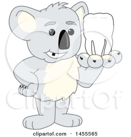 Clipart of a Koala Bear School Mascot Character Holding a Tooth - Royalty Free Vector Illustration by Mascot Junction