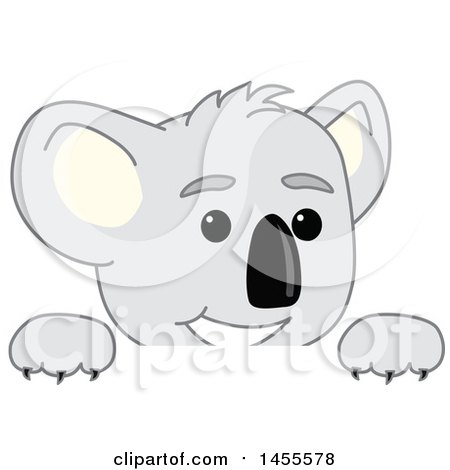 Clipart of a Koala Bear School Mascot Character Peeking over a Sign - Royalty Free Vector Illustration by Mascot Junction