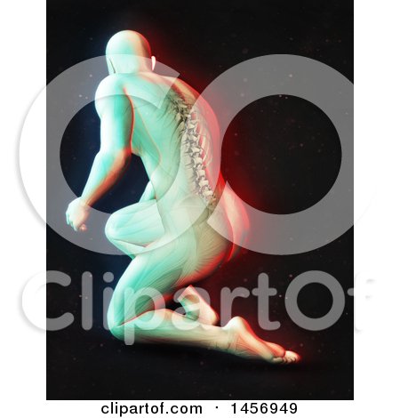 Clipart of a 3d Medical Male Figure Kneeling, with Visible Spine, with Dual Color Effect over Black - Royalty Free Illustration by KJ Pargeter