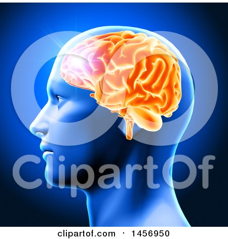 Clipart of a 3d Profiled Man's Head with Glowing Orange Brain, on Blue - Royalty Free Illustration by KJ Pargeter