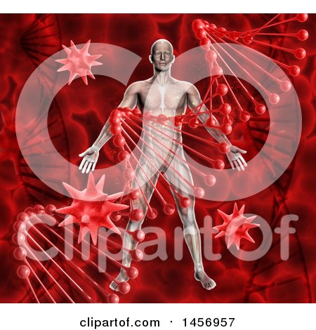 Clipart of a 3d Medical Anatomical Male with Visible Muscles over a Red DNA Strand and Virus Background - Royalty Free Illustration by KJ Pargeter