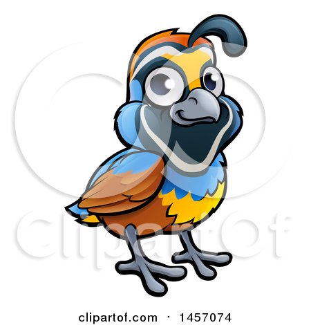 Clipart of a Cartoon California Quail Bird - Royalty Free Vector Illustration by AtStockIllustration