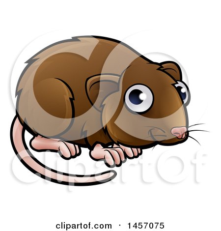 Clipart of a Cartoon Cute Vole - Royalty Free Vector Illustration by AtStockIllustration