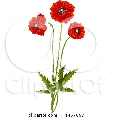 Clipart of Red Poppy Flowers on Stems - Royalty Free Vector Illustration by Vector Tradition SM
