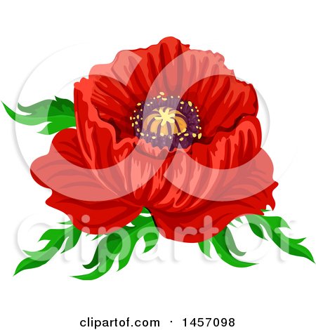 Clipart of a Red Poppy Flower and Leaves Design - Royalty Free Vector Illustration by Vector Tradition SM