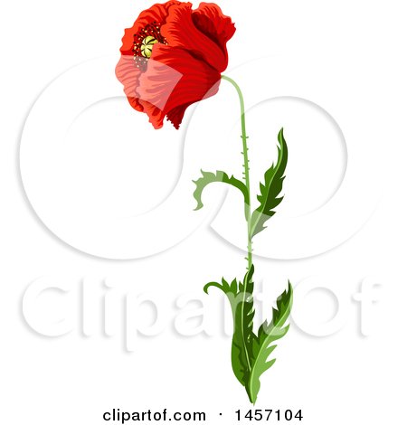 Clipart of a Red Poppy Flower and Stem - Royalty Free Vector Illustration by Vector Tradition SM