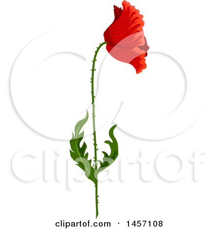 Clipart of a Red Poppy Flower and Stem - Royalty Free Vector Illustration by Vector Tradition SM