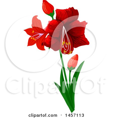 Clipart of a Stem with Red Flowers - Royalty Free Vector Illustration by Vector Tradition SM