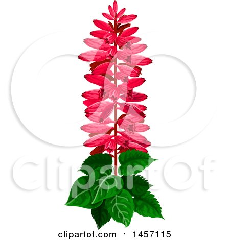 Clipart of a Plant with Red Flowers - Royalty Free Vector Illustration by Vector Tradition SM