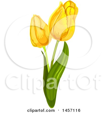 Clipart of a Stem of Yellow Tulip Flowers - Royalty Free Vector Illustration by Vector Tradition SM