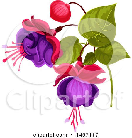Clipart of a Stem of Fuchsia Flowers - Royalty Free Vector Illustration by Vector Tradition SM