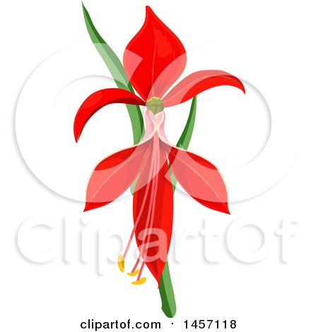 Clipart of a Red Orchid Flower - Royalty Free Vector Illustration by Vector Tradition SM