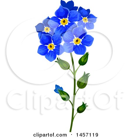 Clipart of a Stem of Forget Me Not Flowers - Royalty Free Vector Illustration by Vector Tradition SM