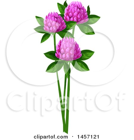 Clipart of Clover Flowers - Royalty Free Vector Illustration by Vector Tradition SM