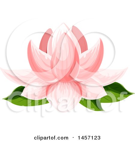 Clipart of a Pink Water Lily Flower - Royalty Free Vector Illustration by Vector Tradition SM