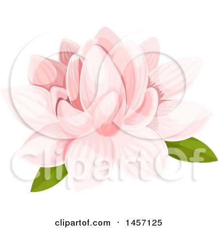 Clipart of a Pink Water Lily Flower - Royalty Free Vector Illustration by Vector Tradition SM