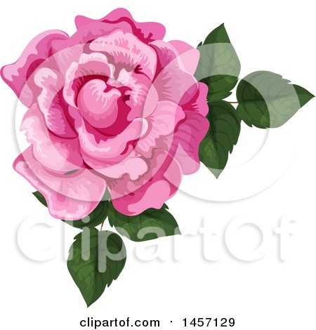 Clipart of a Pink Flower - Royalty Free Vector Illustration by Vector Tradition SM