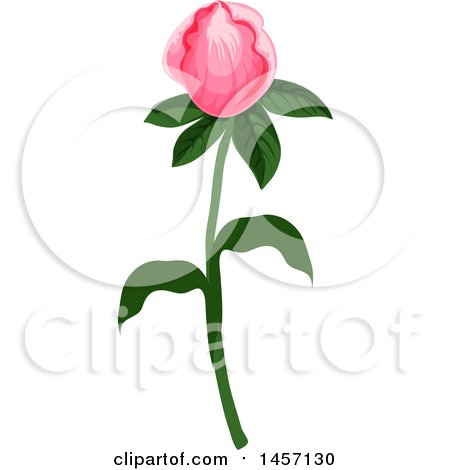 Clipart of a Plant with Pink Flowers - Royalty Free Vector Illustration by Vector Tradition SM