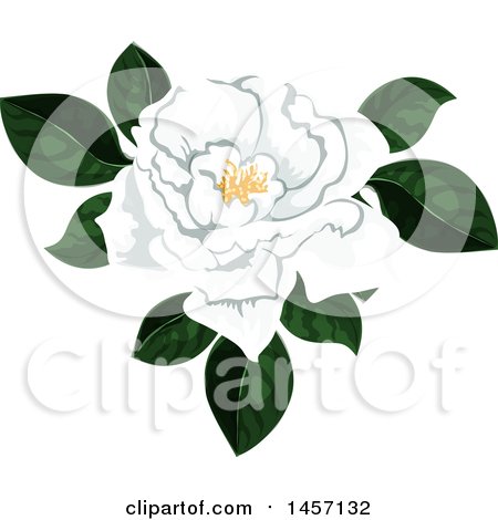 Clipart of a White Flower - Royalty Free Vector Illustration by Vector Tradition SM
