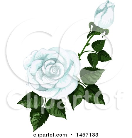Clipart of a Stem of White Roses and Leaves - Royalty Free Vector Illustration by Vector Tradition SM