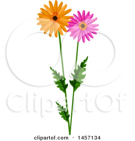 Clipart of a Stem with Pink and Orange Daisy Flowers - Royalty Free Vector Illustration by Vector Tradition SM
