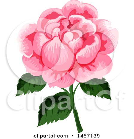 Clipart of a Pink Flower - Royalty Free Vector Illustration by Vector Tradition SM