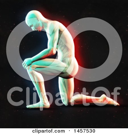 Clipart of a 3d Medical Male Figure Kneeling, with Visible Muscles, with Dual Color Effect over Black - Royalty Free Illustration by KJ Pargeter