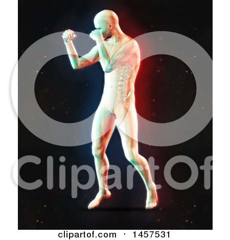 Clipart of a 3d Medical Male Figure Boxing, with Visible Spine, with Dual Color Effect over Black - Royalty Free Illustration by KJ Pargeter