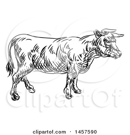 Clipart of a Black and White Sketched Cow in Profile - Royalty Free Vector Illustration by AtStockIllustration