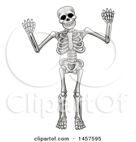 Clipart of a Cartoon Grayscale Human Skeleton Holding up Both Hands - Royalty Free Vector Illustration by AtStockIllustration
