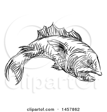 Clipart of a Sketched Black and White Fish - Royalty Free Vector Illustration by AtStockIllustration
