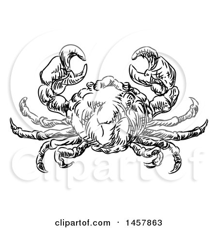 Clipart of a Sketched Black and White Seafood Crab - Royalty Free Vector Illustration by AtStockIllustration