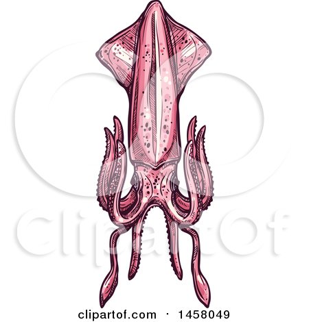 Clipart of a Pink Squid - Royalty Free Vector Illustration by Vector Tradition SM