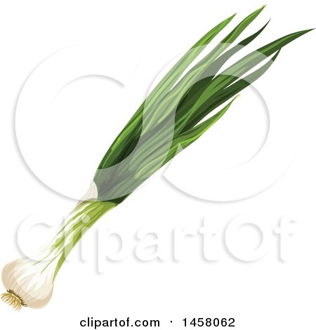 Clipart of Green Onions - Royalty Free Vector Illustration by Vector Tradition SM