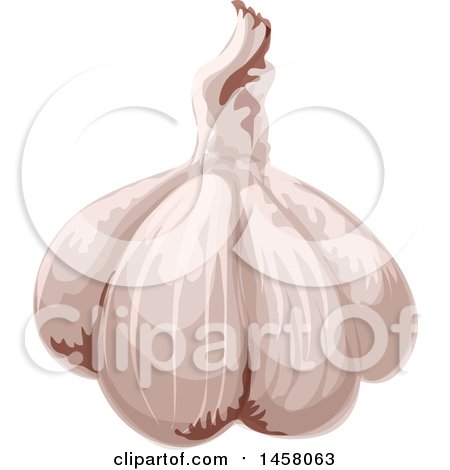 Clipart of a Garlic Bulb - Royalty Free Vector Illustration by Vector Tradition SM