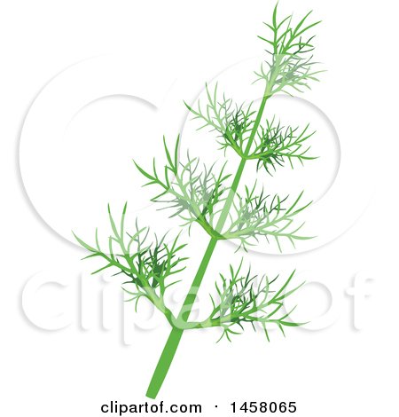 Clipart of a Fennel Sprig - Royalty Free Vector Illustration by Vector Tradition SM