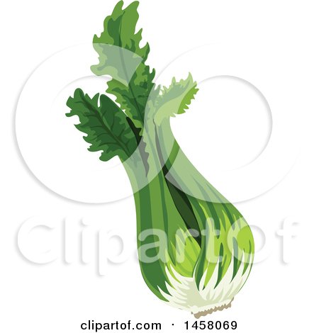 Clipart of Celery - Royalty Free Vector Illustration by Vector Tradition SM
