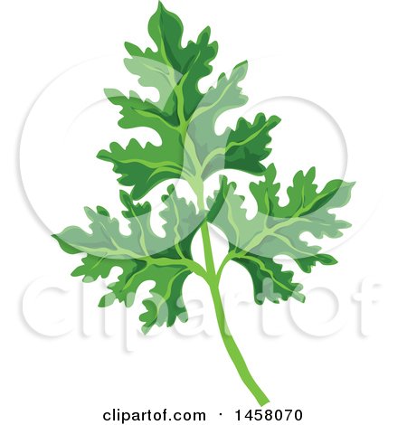 Clipart of a Parsley Sprig - Royalty Free Vector Illustration by Vector Tradition SM