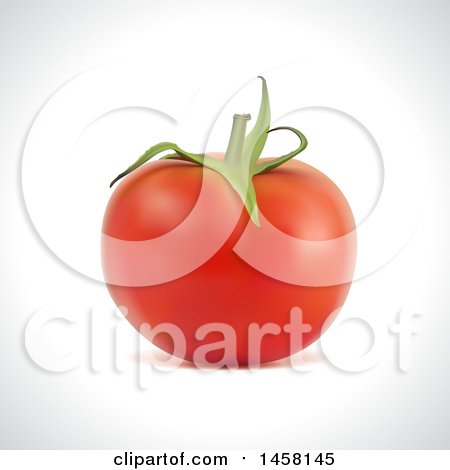 Clipart of a 3d Red Tomato on a Shaded Background - Royalty Free Vector Illustration by cidepix