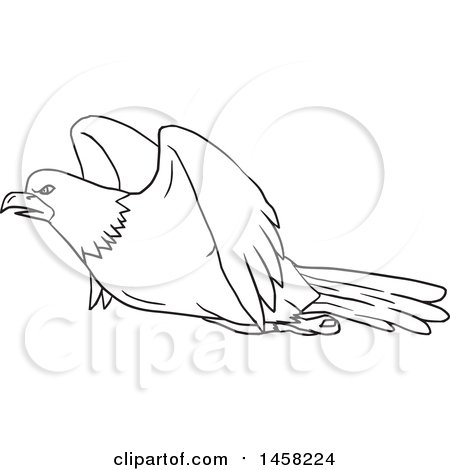 Clipart of a Black and White Flying Bald Eagle in Lineart Style - Royalty Free Vector Illustration by patrimonio