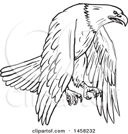 Clipart of a Flying Bald Eagle, in Sketched Black and White Style - Royalty Free Vector Illustration by patrimonio