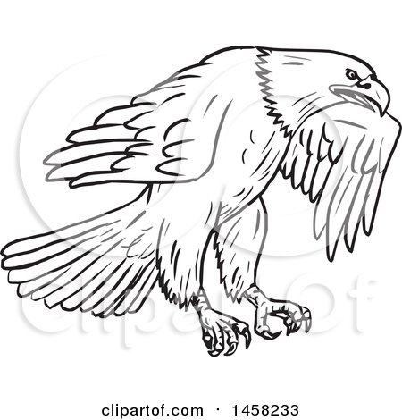 Clipart of a Flying Bald Eagle, in Sketched Black and White Style - Royalty Free Vector Illustration by patrimonio