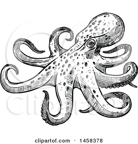 Clipart of an Octopus in Black and White Sketched Style - Royalty Free Vector Illustration by Vector Tradition SM